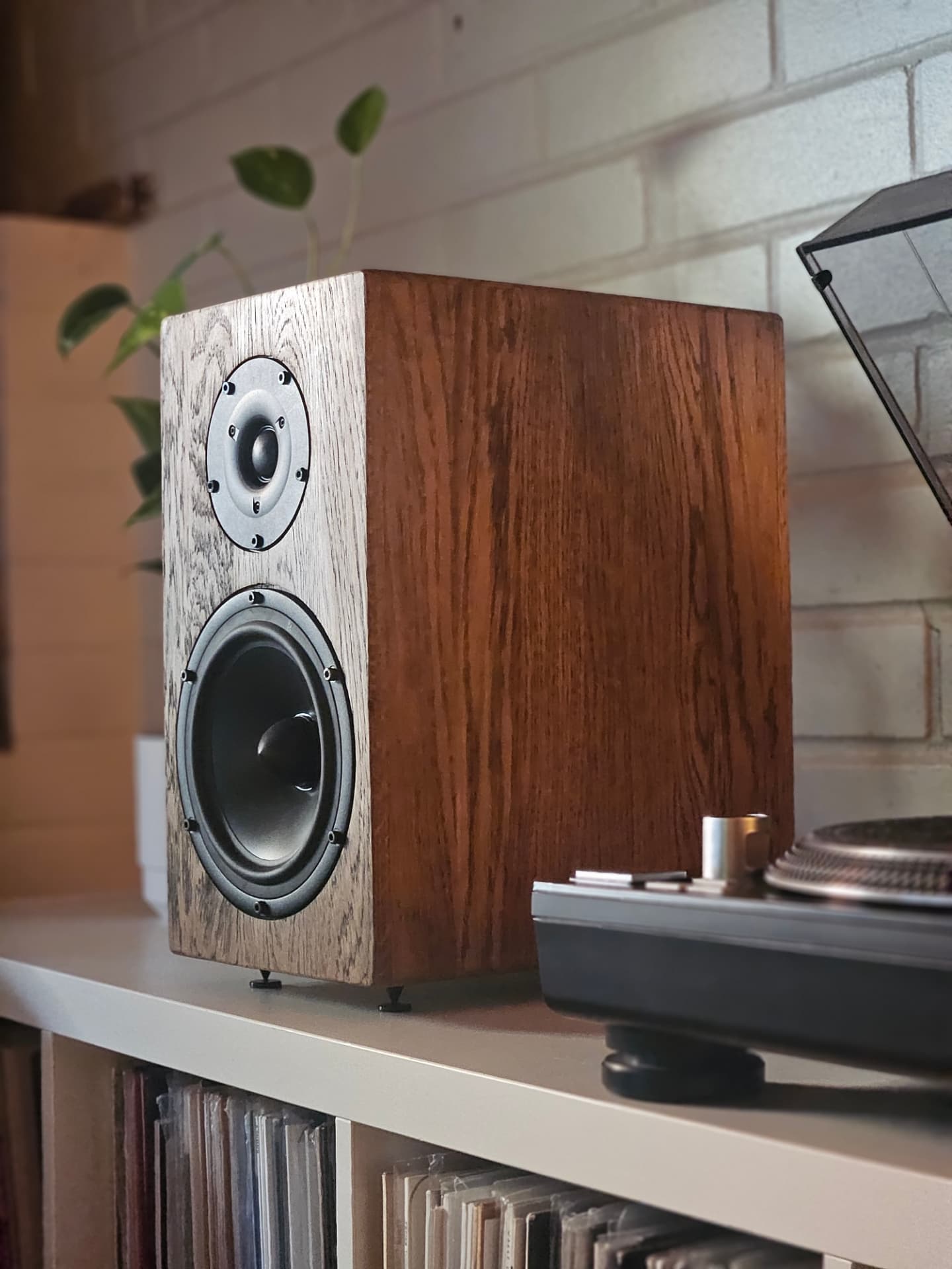 Rear connection panel of a Haient Haven loudspeaker in dark oak, with binding posts and Handcrafted in Finland engraving