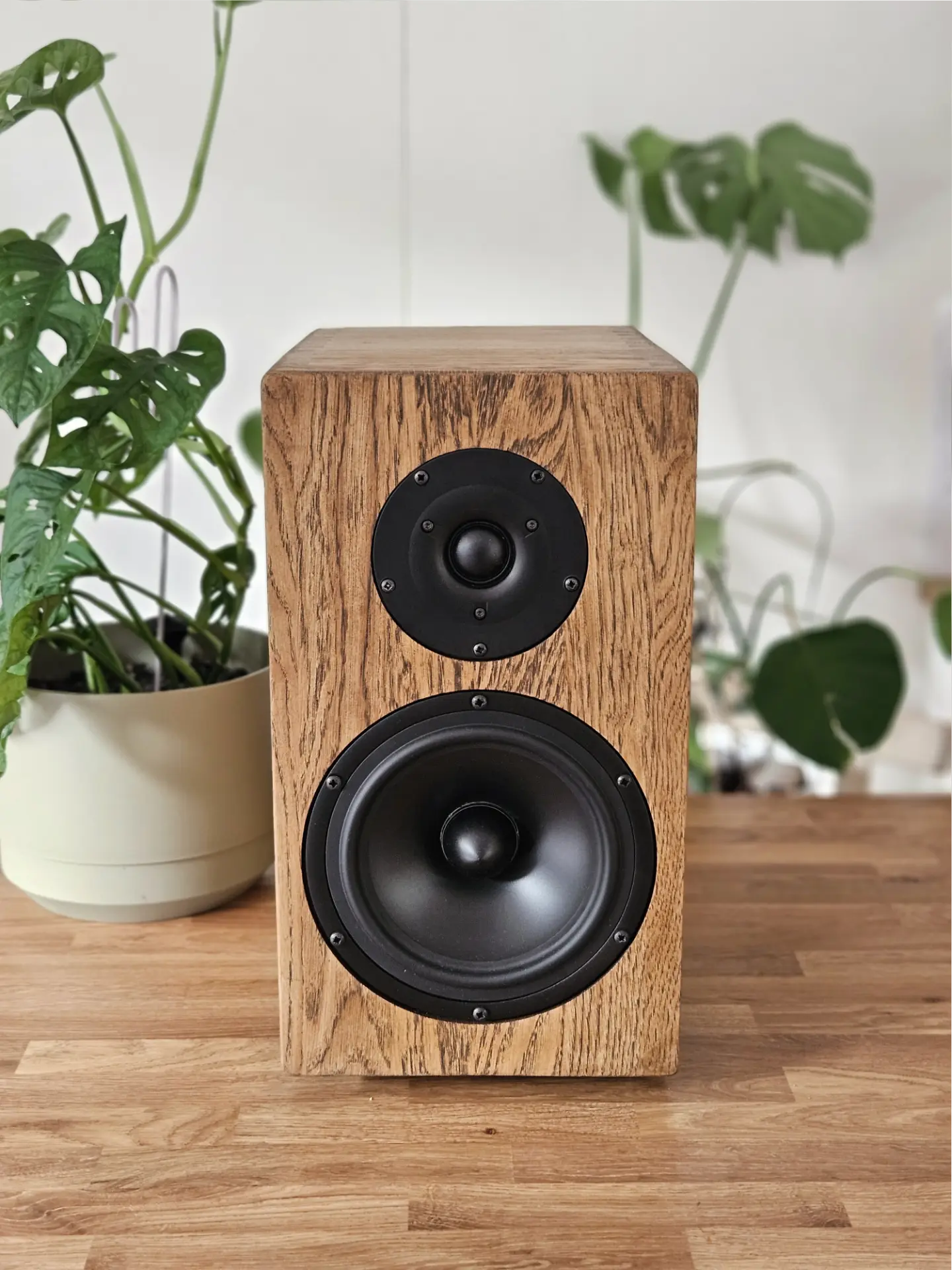 Haient solid oak loudspeaker on a black stand against a dark backdrop