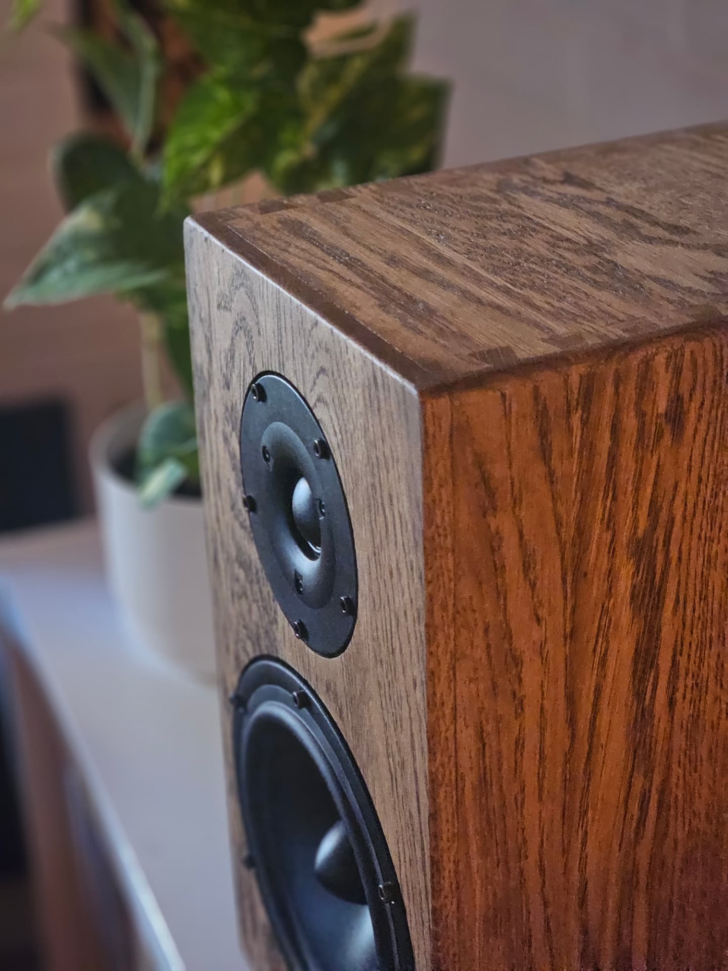 Close-up of a Haient Haven loudspeaker cabinet in oak, showing tweeter and woofer detail